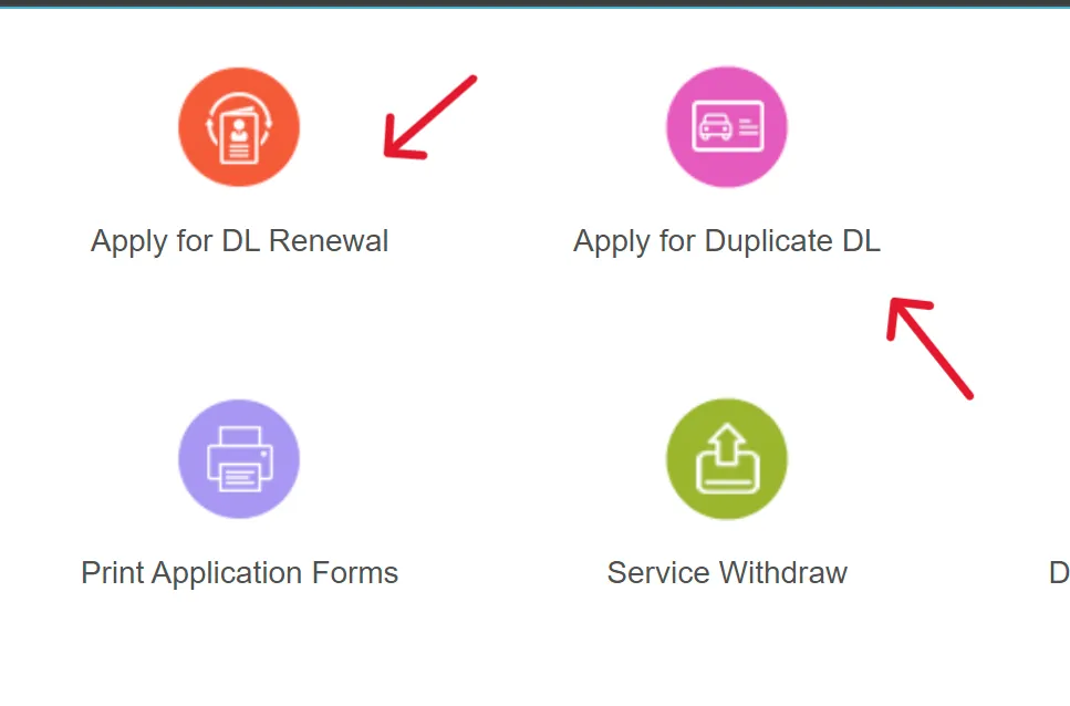 Renewal Process